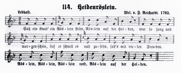19a-Heidenrslein