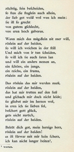 19u-Heidenrslein