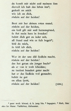 19w-Heidenrslein