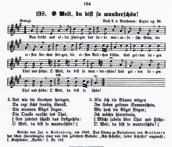 24-Nun bricht aus allen Zweigen